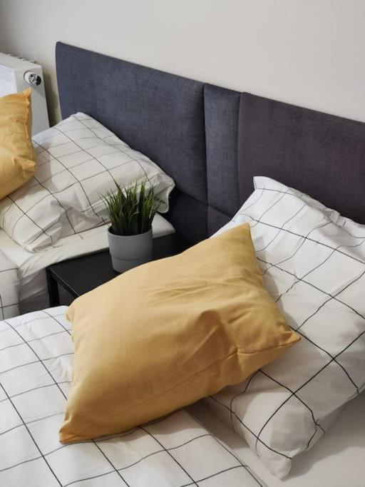 Piekny Apartament 3-Pokojowy คาโตวีตเซ ภายนอก รูปภาพ